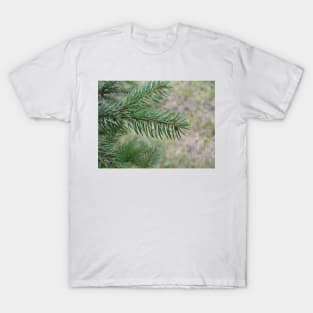 Spruce T-Shirt